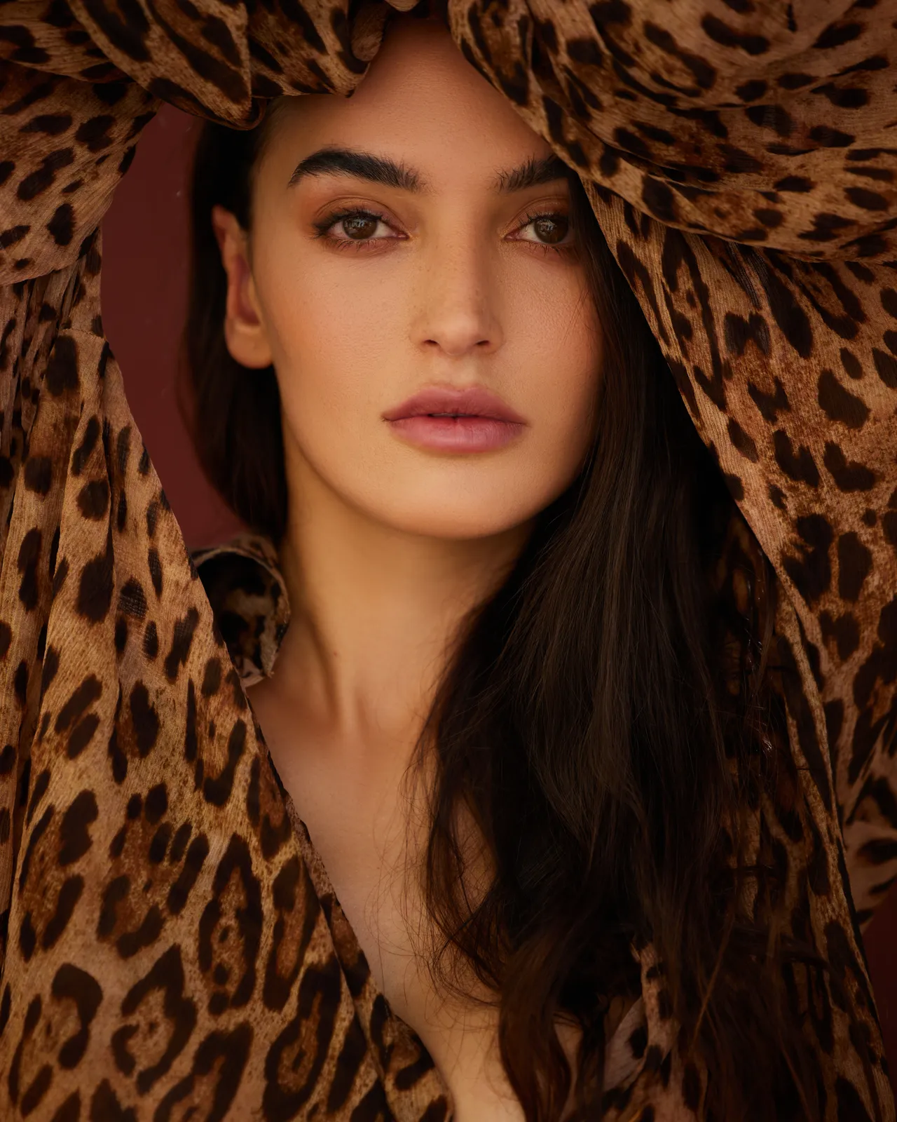 Leopard Portrait natural light lifestyle photography in the UAE by Aleksandar Pasaric